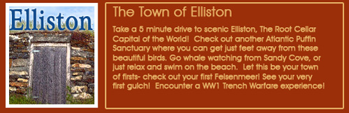 elliston